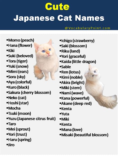 cute names for cats in japanese|japanese girl names meaning cat.